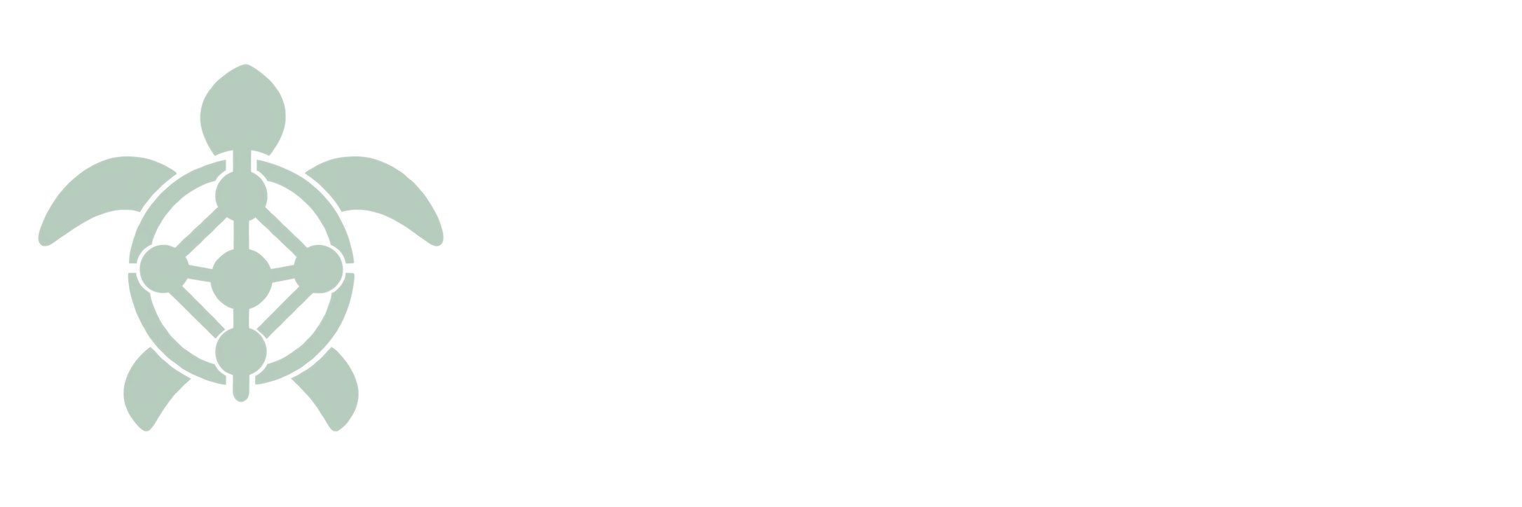 Kumu Noa